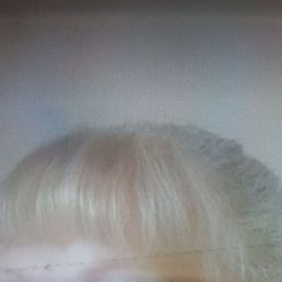 �������, �������, 65 ���