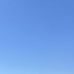 �����, ������, 34 ����