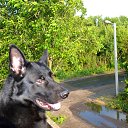 ���� Mark, ����������� - ��������� 12 ������ 2025 � ������ ������ ��������