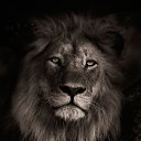 ���� ����, �����������, 39 ��� - ��������� 9 ������ 2023 � ������ ���� ����������