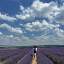 ���� �������, �����������, 51 ��� - ��������� 8 ���� 2024 � ������ ���� ����������