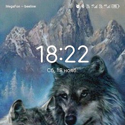 �������, ��������, 44 ����