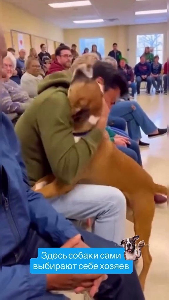 ��� ����� �����������