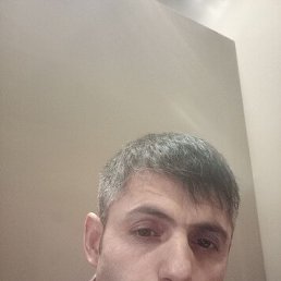 ����, 39 ���, ���������
