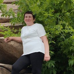 , 58, 