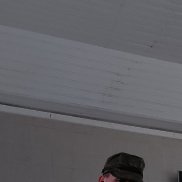 ���, 44 ����, ������