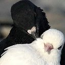���� ������, ��������, 41 ��� - ��������� 2 ������� 2023 � ������ ������ ��������