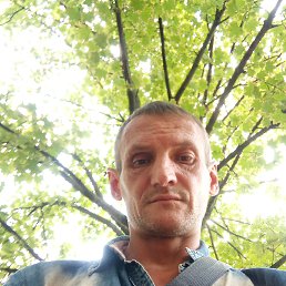 , 41, 