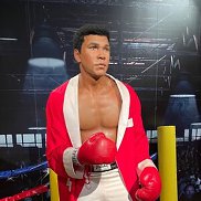 ������, 41 ���, ������