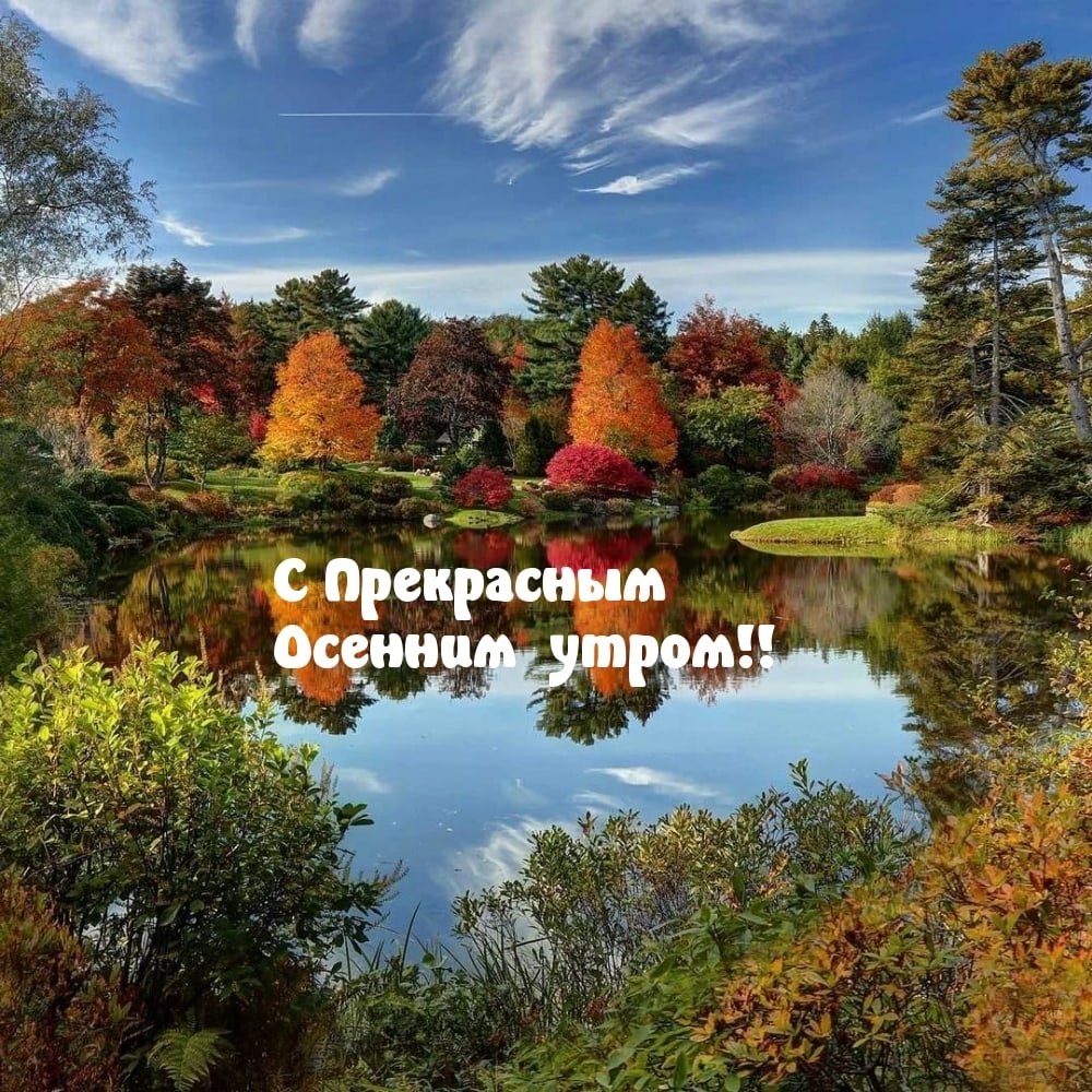  ,    . - 20  2025  23:54