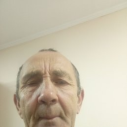 �������, 66 ���, ���������