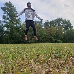 �����, �����-���������, 40 ���