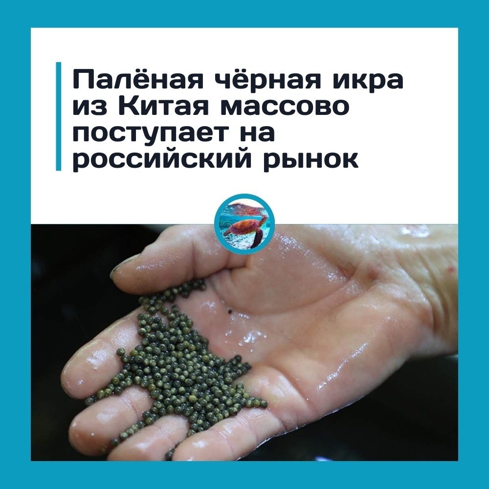 � e���e �o��e���! ��a�c�a� ��p�a� ��pa �a�o�o���a �occ��! �o��e oce�po�o�o� �a�����, ��o �a���� ...