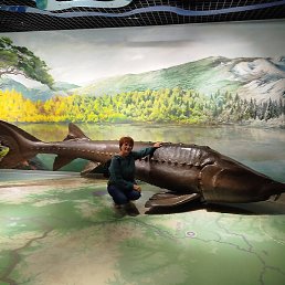 �����*, �����������