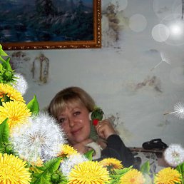 ���� ����, ����������, 52 ���� - ��������� 4 ����� 2026