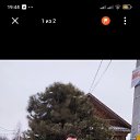 ���� ����, ���������, 45 ��� - ��������� 28 ������ 2025 � ������ ���� ����������