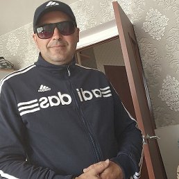 ������, ������������, 41 ���