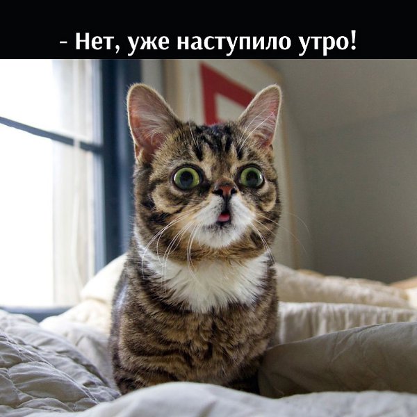       - 7  2025  12:44 - 3