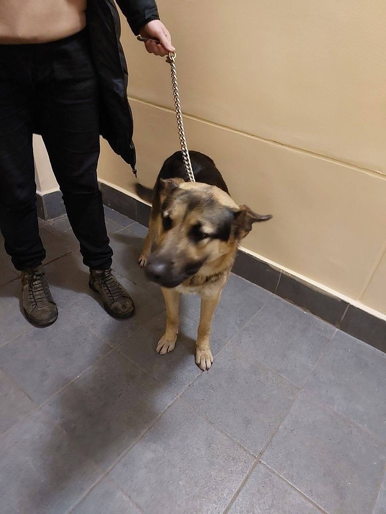 ������, ���������� �������, ���� ������� � ���������� ���-3 �� ������� ���������� � �������. ����� ...