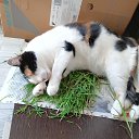 ���� ������, ��������, 72 ���� - ��������� 13 ������ 2025 � ������ ������ ��������