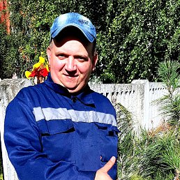 ����, 41 ���, ������������