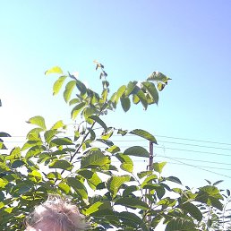 �������, ������, 57 ���