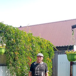 ��������, ���������, 66 ���