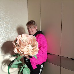 ����, ����, 59 ���