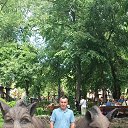  , --, 51  -  27  2025    