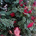 ���� �����, �������������, 66 ��� - ��������� 8 ������� 2026