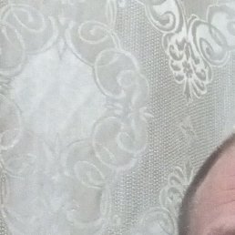 ��������, �����������, 40 ���