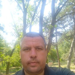 , 43 , 