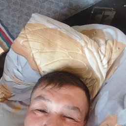 , 43, 