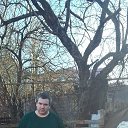 ���� �����, �����, 41 ��� - ��������� 11 ������� 2025 � ������ ���� ����������