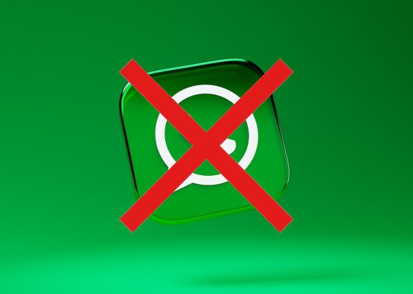 WhatsApp* � ������ - �Ѩ! ��� ��������������� ������ ����������� ������ WhatsApp*: ����������, �� ...