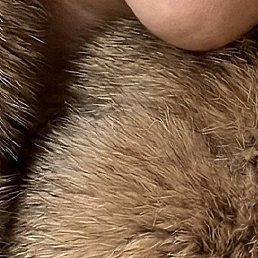 �����, �������, 45 ���