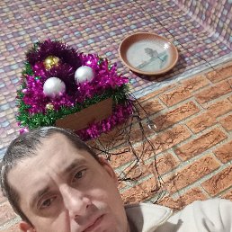 , 41, 