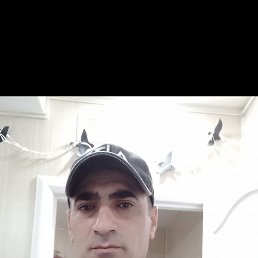, 44, 