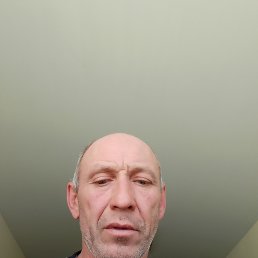 ����, 46 ���, ���������