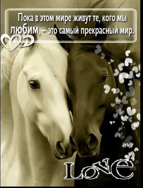 ���� - 1 ������ 2026 � 00:37