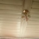 ���� ���, ������, 50 ��� - ��������� 21 ������ 2026