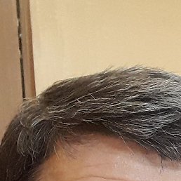 �����, ������, 62 ����