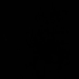 Arddfc, �������, 32 ����