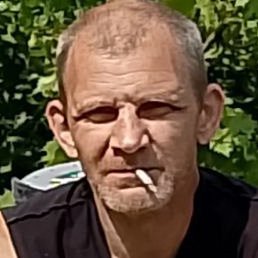 ������, ������, 48 ���