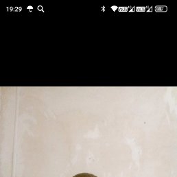 ��������, 37 ���, ����