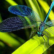 Alevtina, 41 ���, ������