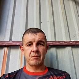 ����, 41 ���, �����������