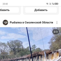 , 33, 