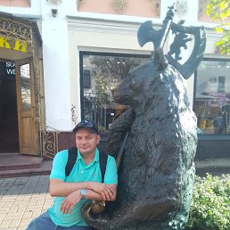 ����, 41 ���, ���������