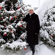 ����, , ������������